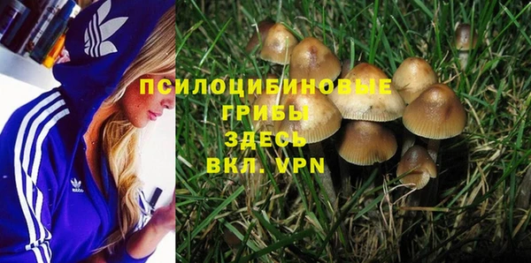 мяу мяу мука Богородск