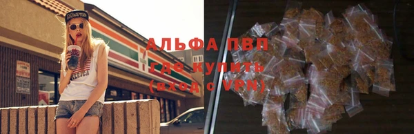 сатива Богородицк
