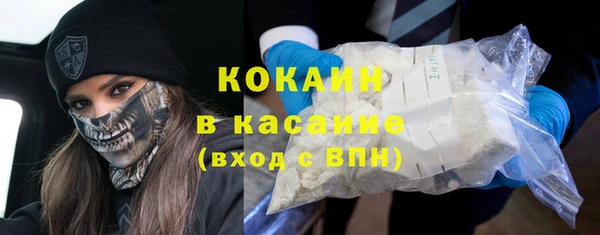 сатива Богородицк