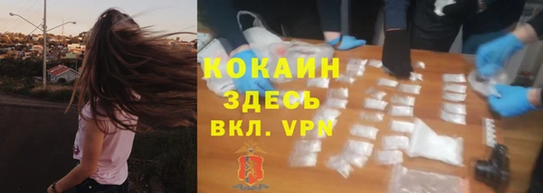 сатива Богородицк