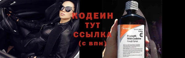 сатива Богородицк