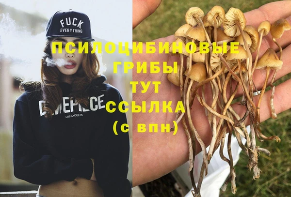 spice Киров