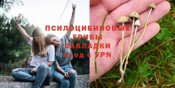 мяу мяу кристалл Богданович