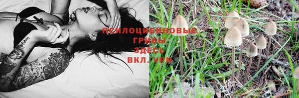 сатива Богородицк