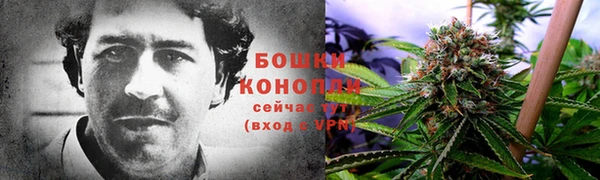 сатива Богородицк
