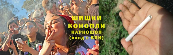 сатива Богородицк