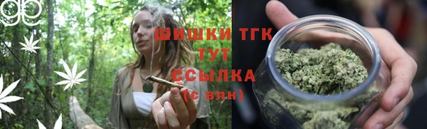 сатива Богородицк