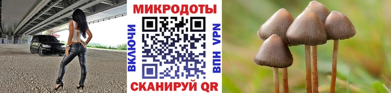 Псилоцибиновые грибы прущие грибы  Яблоновский 